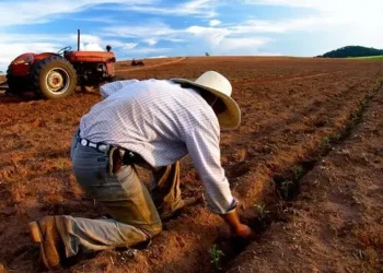 agro-interiorano-puxa-contratacoes-e-cria-25-mil-novas-vagas-formais-no-pais