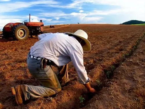 agro-interiorano-puxa-contratacoes-e-cria-25-mil-novas-vagas-formais-no-pais