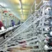 industria-textil-cresce,-moderniza-processos-e-movimenta-r$-203,9-bilhoes