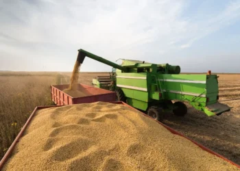 pib-de-goias-cresce-4,8%-em-2023-e-supera-media-nacional