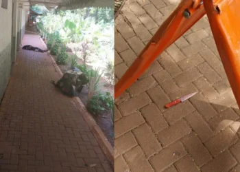 mulher-e-brutalmente-assassinada-a-facadas-no-bosques-do-buritis-em-goiania