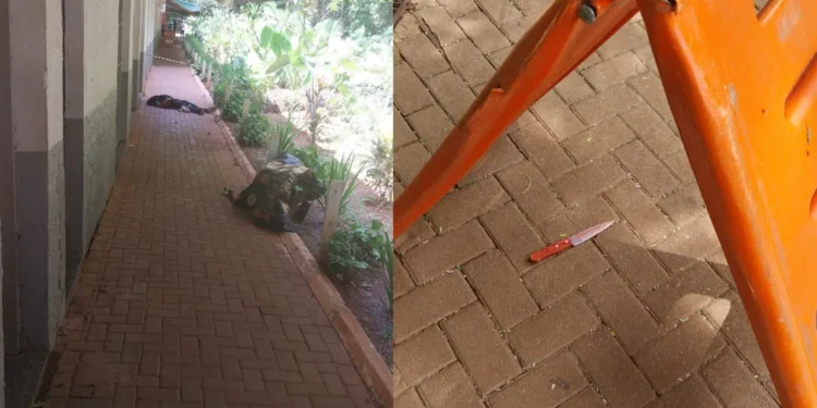 mulher-e-brutalmente-assassinada-a-facadas-no-bosques-do-buritis-em-goiania