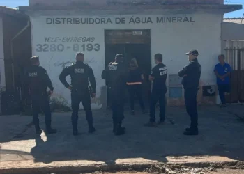 deposito-clandestino-de-ovos-e-interditado-em-aparecida-de-goiania