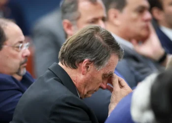 bolsonaro-diz-ter-sofrido-surto-e-nega-intencao-de-fuga-em-audiencia-de-custodia