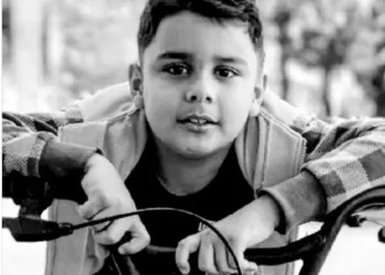 crianca-de-9-anos-morre-apos-ataque-de-abelhas-em-catalao