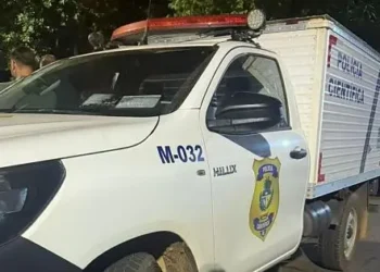 adolescente-de-14-anos-imobiliza-padrasto-para-defender-familia;-agressor-morre-em-guapo