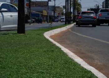 mp-recomenda-que-prefeitura-de-goiania-suspenda-uso-de-grama-sintetica