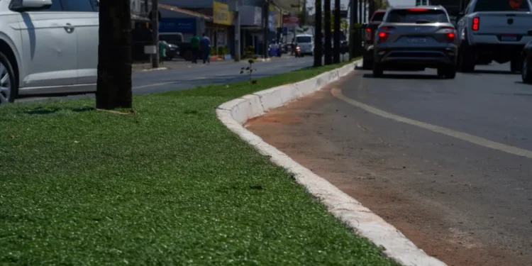 mp-recomenda-que-prefeitura-de-goiania-suspenda-uso-de-grama-sintetica