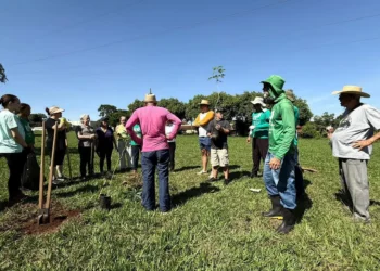 mobilizacao-cresce-e-reacende-debate-sobre-estacionamento-no-parque-das-laranjeiras