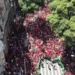torcida-do-flamengo-lota-centro-do-rio-para-celebrar-o-tetracampeonato-da-libertadores