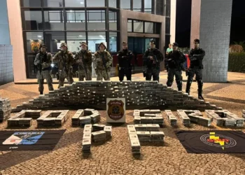 meia-tonelada-de-cocaina-e-apreendida-em-caminhao-de-carga-na-divisa-entre-goias-e-mato-grosso