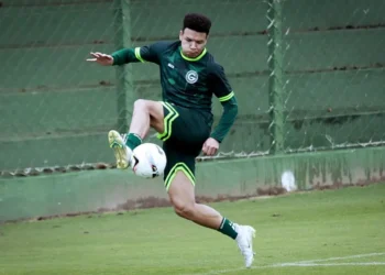 vila-nova-avanca-em-reforcos-para-2026