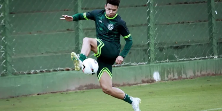 vila-nova-avanca-em-reforcos-para-2026