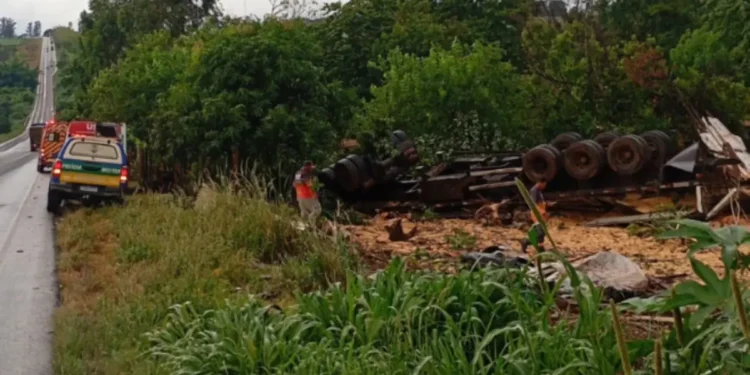 caminhao-carregado-de-milho-tomba-na-go-174-e-mata-motorista-em-rio-verde
