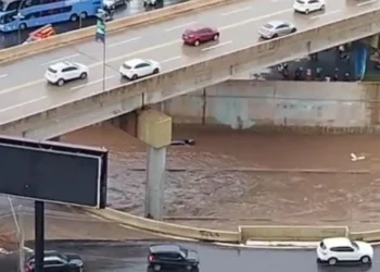 apos-alagamento-na-marginal-botafogo,-mabel-anuncia-obras-que-deverao-ser-realizadas-no-local