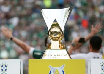 acabou-o-brasileirao-2025