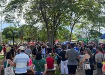 manifestacao-nacional-contra-anistia-a-golpistas-reuniu-manifestantes-em-goiania