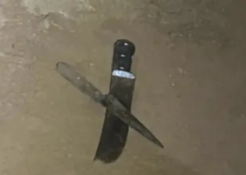 mulher-mata-irmao-durante-briga-com-facas-em-rio-verde