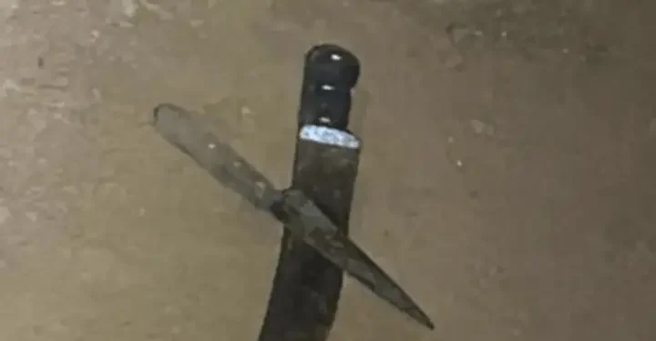 mulher-mata-irmao-durante-briga-com-facas-em-rio-verde