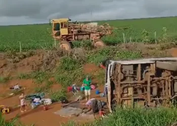 onibus-com-quase-50-passageiros-tomba-na-br-050,-em-campo-alegre-de-goias