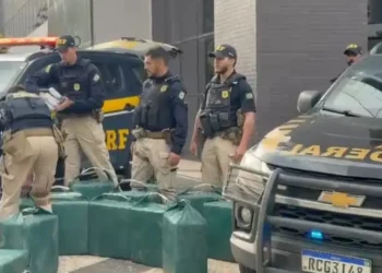 cocaina-apreendida-passa-de-uma-tonelada-em-goias-e-tocantins