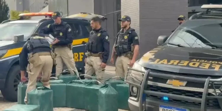 cocaina-apreendida-passa-de-uma-tonelada-em-goias-e-tocantins