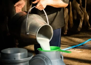 exportacao-de-leite-condensado-cresce-em-goias-e-movimenta-a-industria-lactea