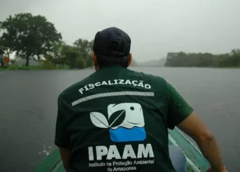 ipaam-abre-concurso-apos-15-anos-com-140-vagas-e-salarios-de-ate-r$-11,6-mil