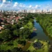 goiania-recebe-selo-“cidade-arvore-do-mundo”-da-onu-e-passa-a-integrar-rede-internacional