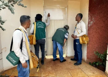 goiania-reduz-quase-pela-metade-os-casos-de-dengue-em-2025