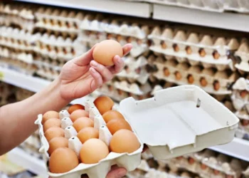 consumo-interno-e-exportacoes-impulsionam-mercado-de-ovos-em-goias-em-2026