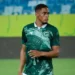 goias-comeca-2026-entre-o-rigor-de-michel-alves-no-mercado-e-brilho-da-base