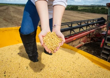 agro-goiano-fecha-2025-com-recordes-e-consolida-lideranca-nacional