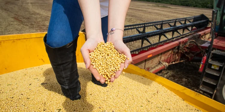 agro-goiano-fecha-2025-com-recordes-e-consolida-lideranca-nacional