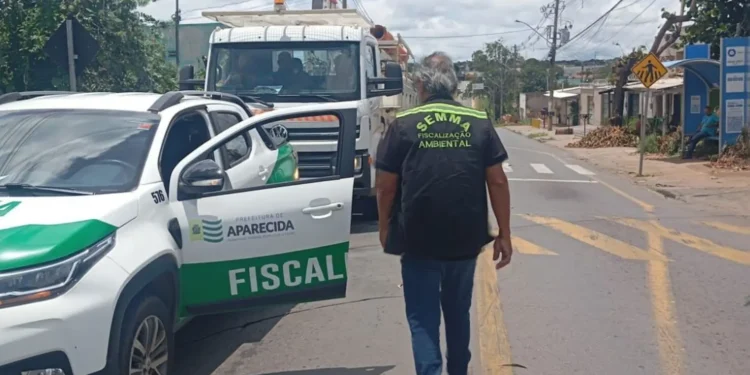 poda-de-arvores-em-aparecida-geram-impasse-entre-politica-ambiental-e-a-equatorial