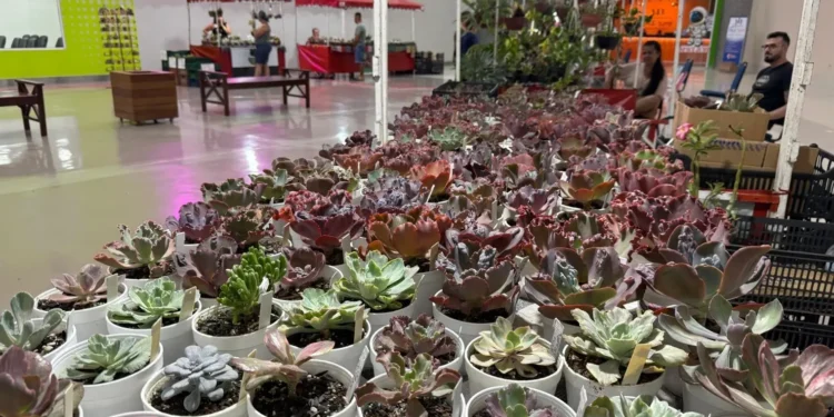 shopping-no-centro-de-goiania-promove-bazar-de-plantas