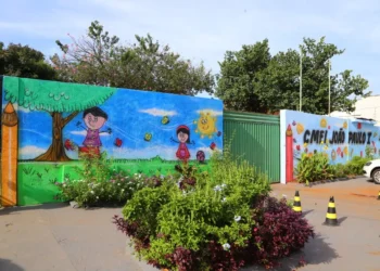 mudanca-nas-matriculas-reacende-debate-sobre-vagas-nos-cmeis-em-goiania