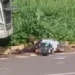 colisao-entre-caminhao-e-motocicleta-deixa-dois-feridos-na-go-020,-em-pires-do-rio