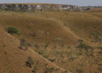 amazonia-e-cerrado-tem-queda-no-desmatamento