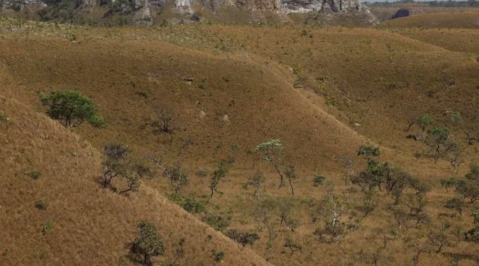 amazonia-e-cerrado-tem-queda-no-desmatamento