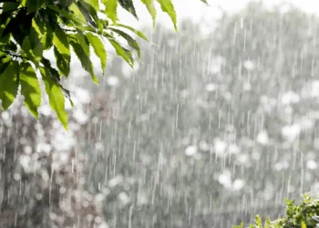 goiania-amanhece-com-chuva-e-alerta-de-risco-para-alagamentos