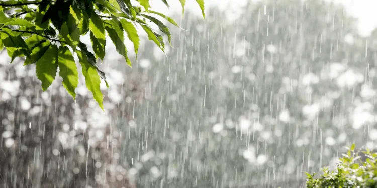 goiania-amanhece-com-chuva-e-alerta-de-risco-para-alagamentos