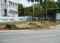 corte-de-arvores-na-praca-civica-expoe-conflito-entre-paco-e-iphan
