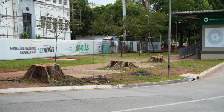 corte-de-arvores-na-praca-civica-expoe-conflito-entre-paco-e-iphan