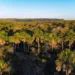 desmatamento-do-cerrado-cresce-no-pais,-mas-goias-reduz-perdas-de-vegetacao