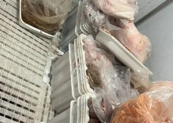 policia-fiscaliza-comercio-e-apreende-produtos-carneos-em-aparecida-de-goiania