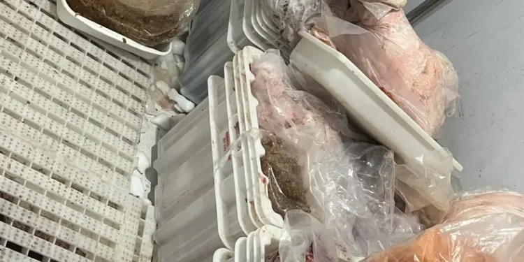 policia-fiscaliza-comercio-e-apreende-produtos-carneos-em-aparecida-de-goiania