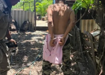 homem-e-preso-apos-esfaquear-colega-e-se-esconder-em-galinheiro-na-zona-rural-de-caldas-novas