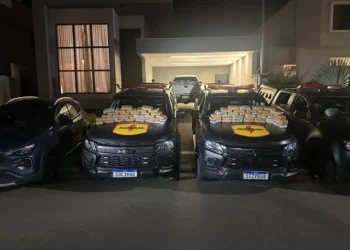 sete-pessoas-sao-presas-apos-pm-encontrar-skunk-avaliado-em-r$-1,5-milhao-em-casa-de-luxo