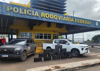 prf-apreende-320-kg-de-maconha-apos-perseguicao-na-br-153